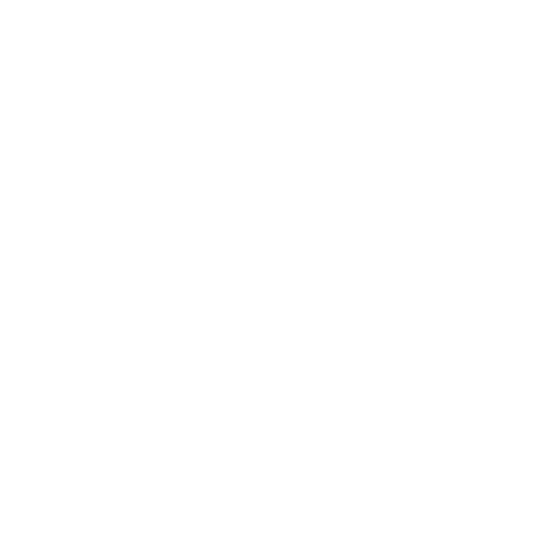 OPTIMIZACIÓN DE LA NUBE DE PUNTOS